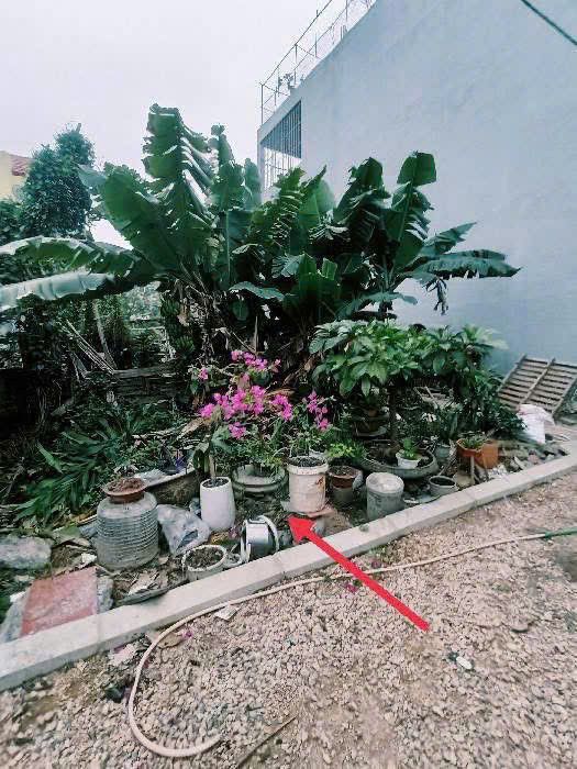 BÁN NHÀ ĐA TỐN - GIÁ RẺ - ĐẤT RỘNG - CƠ HỘI ĐẦU TƯ